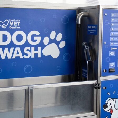 View DIY Dog Wash