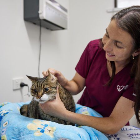 View Health Checks