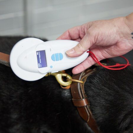View Microchipping