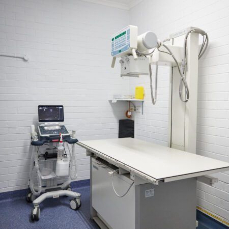 View Radiography